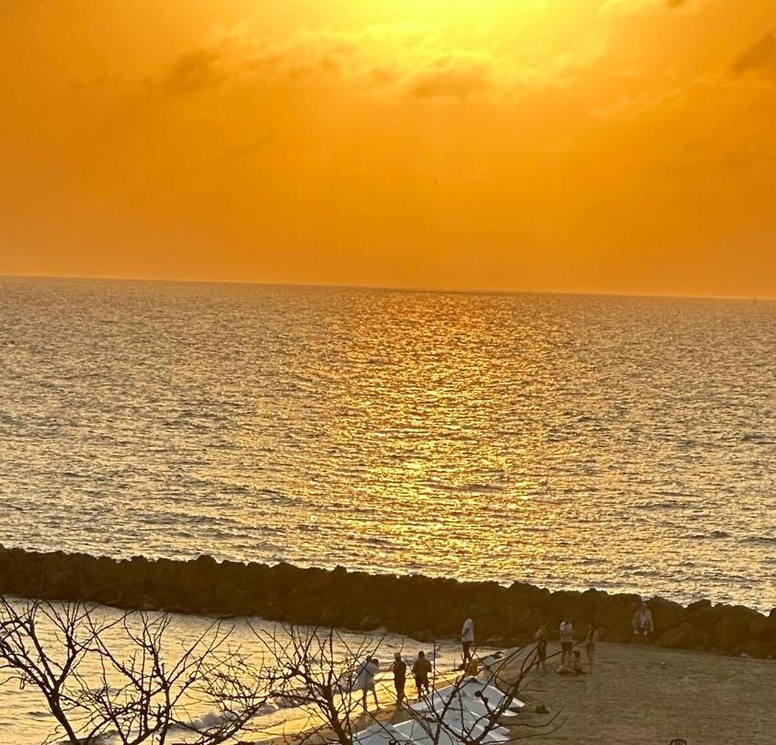 Apartamento Espectacular Ocean View, De Dos Cuartos, Con Vista Al Mar, En De Indias
